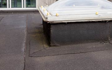 disadvantages of Little Torboll flat roofs