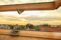 rated Little Torboll roof window companies